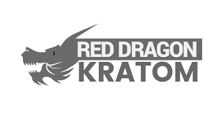 RED DRAGON KRATOM logo
