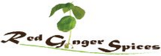 RED GINGER SPICES logo