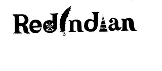 RED INDIAN AND DESIGN logo