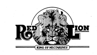 RED LION KING OF NECTARINES