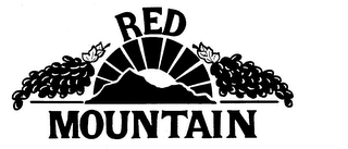 RED MOUNTAIN logo