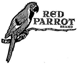 RED PARROT BRAND logo