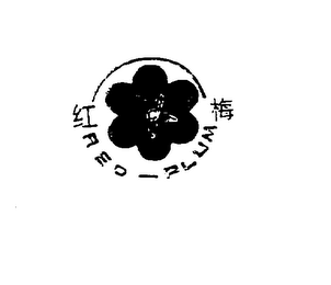 RED PLUM logo