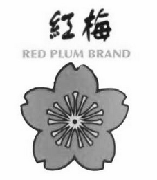 RED PLUM BRAND logo