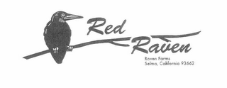 RED RAVEN RAVEN FARMS SELMA, CALIFORNIA 93662 logo