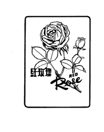 RED ROSE logo