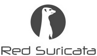 RED SURICATA logo