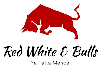 RED WHITE AND BULLS logo