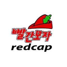 REDCAP logo