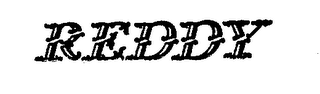 REDDY logo