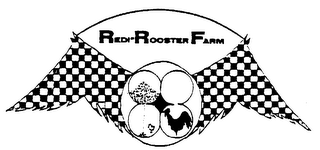 REDI ROOSTER FARM logo