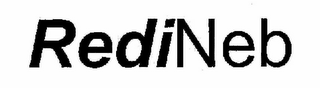 REDINEB logo