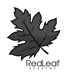 REDLEAF ACADEMY logo