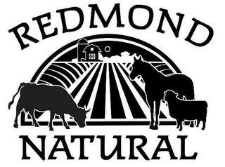 REDMOND NATURAL logo