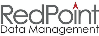 REDPOINT DATA MANAGEMENT logo