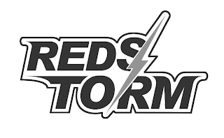 REDSTORM logo