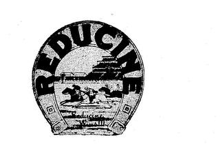 REDUCINE logo