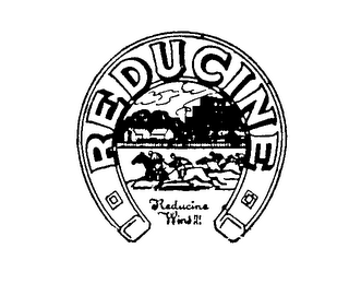 REDUCINE logo
