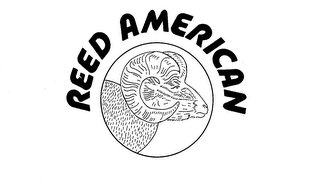 REED AMERICAN logo
