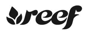 REEF logo