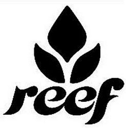 REEF logo