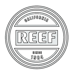 REEF CALIFORNIA SINCE 1984 logo