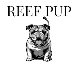 REEF PUP logo