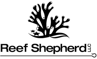 REEF SHEPHERD LLC logo