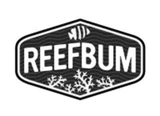 REEFBUM logo