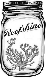 REEFSHINE logo