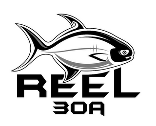 REEL 30A logo