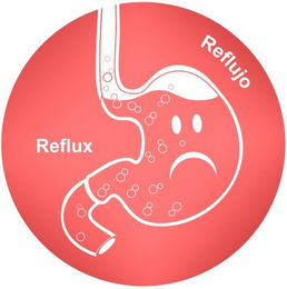 REFLUX REFLUJO logo