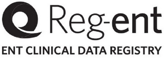 REG-ENT ENT CLINICAL DATA REGISTRY logo