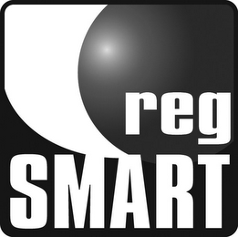 REG SMART logo