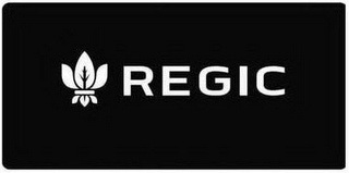 REGIC logo