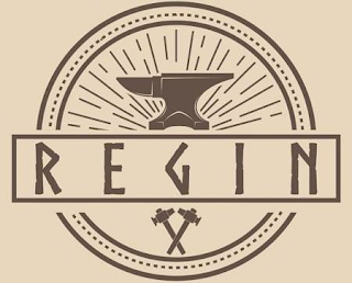 REGIN logo