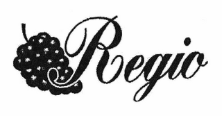 REGIO logo