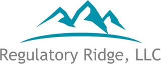 REGULATORY RIDGE, LLC logo