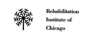 REHABILITATION INSTITUTE OF CHICAGO logo