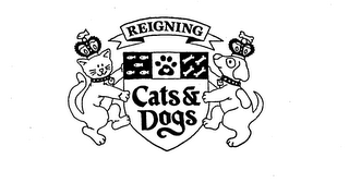 REIGNING CATS & DOGS logo