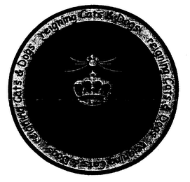 REIGNING CATS & DOGS logo