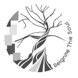 REIGNITE THE SOUL logo