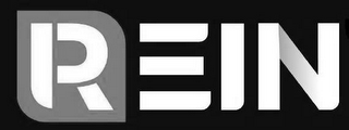 REIN logo