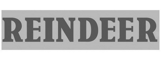 REINDEER logo
