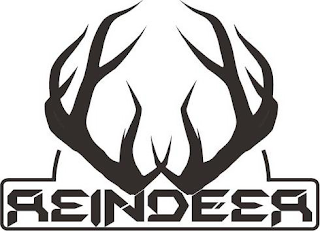 REINDEER logo