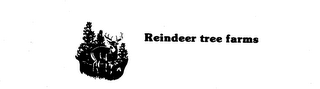 REINDEER TREE FARMS logo