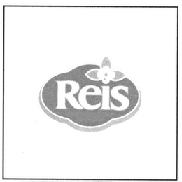 REIS logo