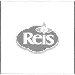 REIS logo