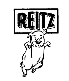 REITZ logo