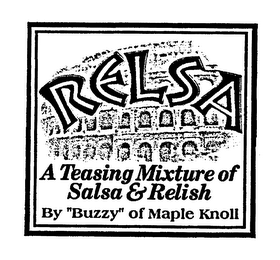 RELSA, A TEASING MIXTURE OF SALSA & RELISH BY "BUZZY" OF MAPLE KNOLL logo